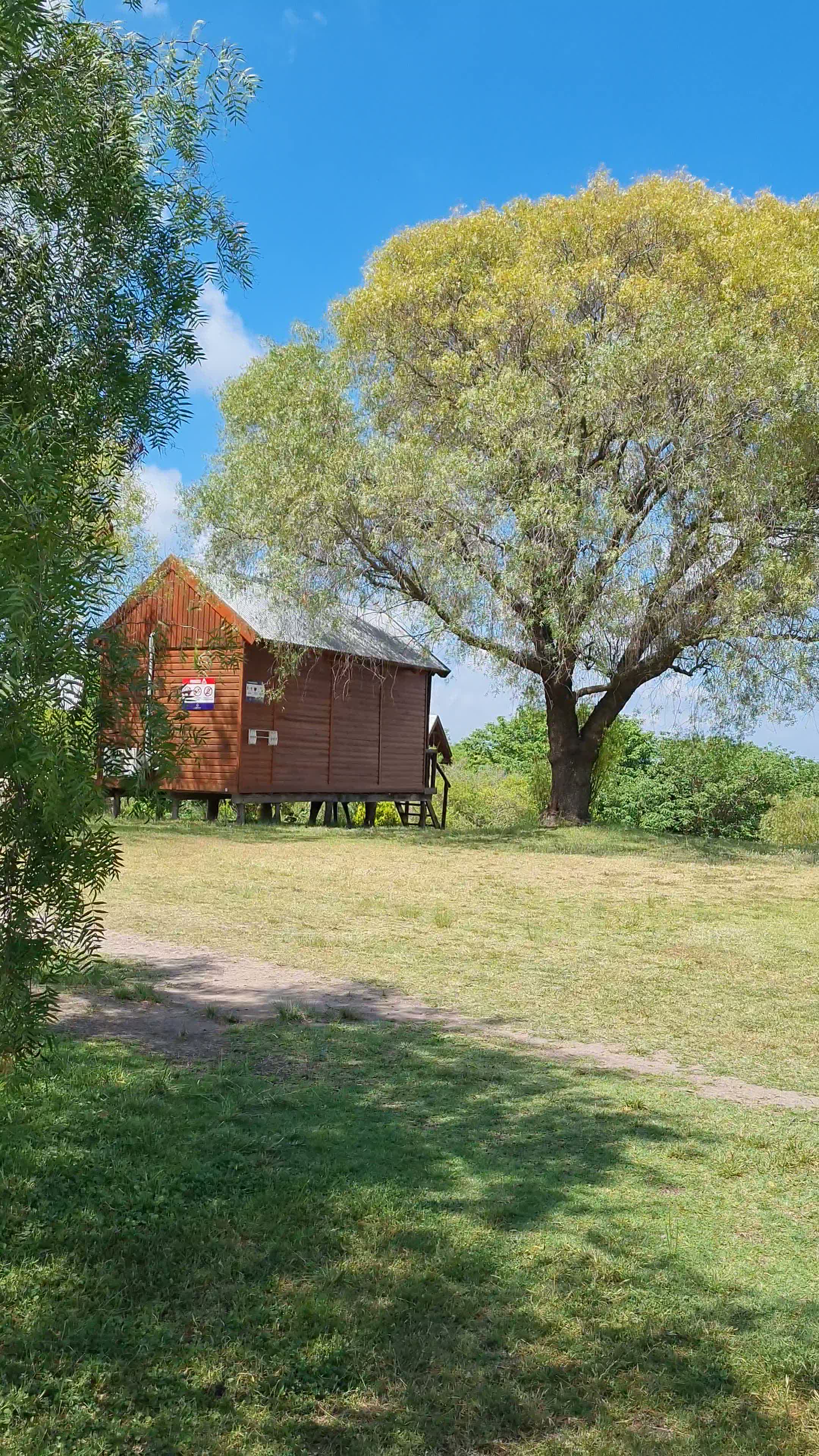 Cabaña de madera junto a un árbol añoso en Finca Las Cuevas