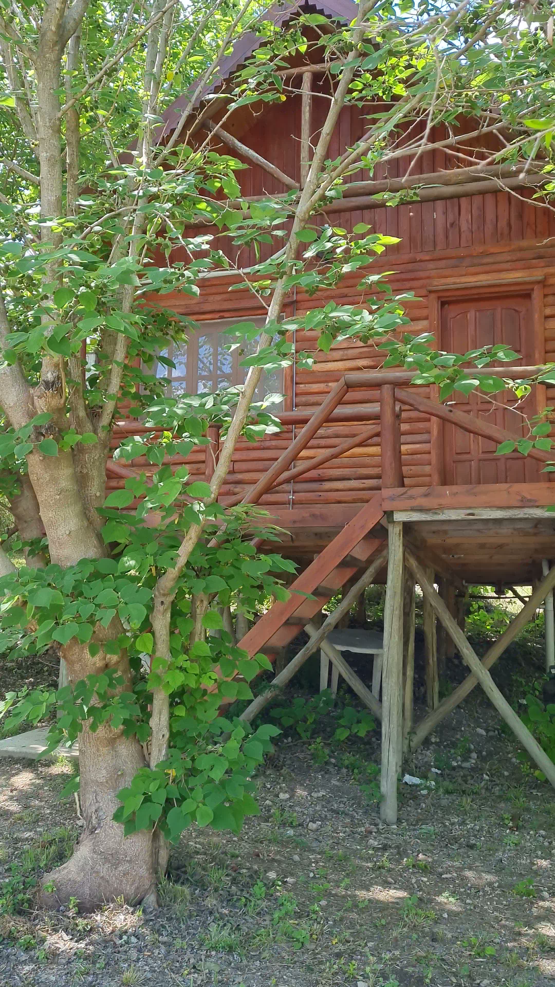 Cabaña de madera sobre pilotes entre los árboles