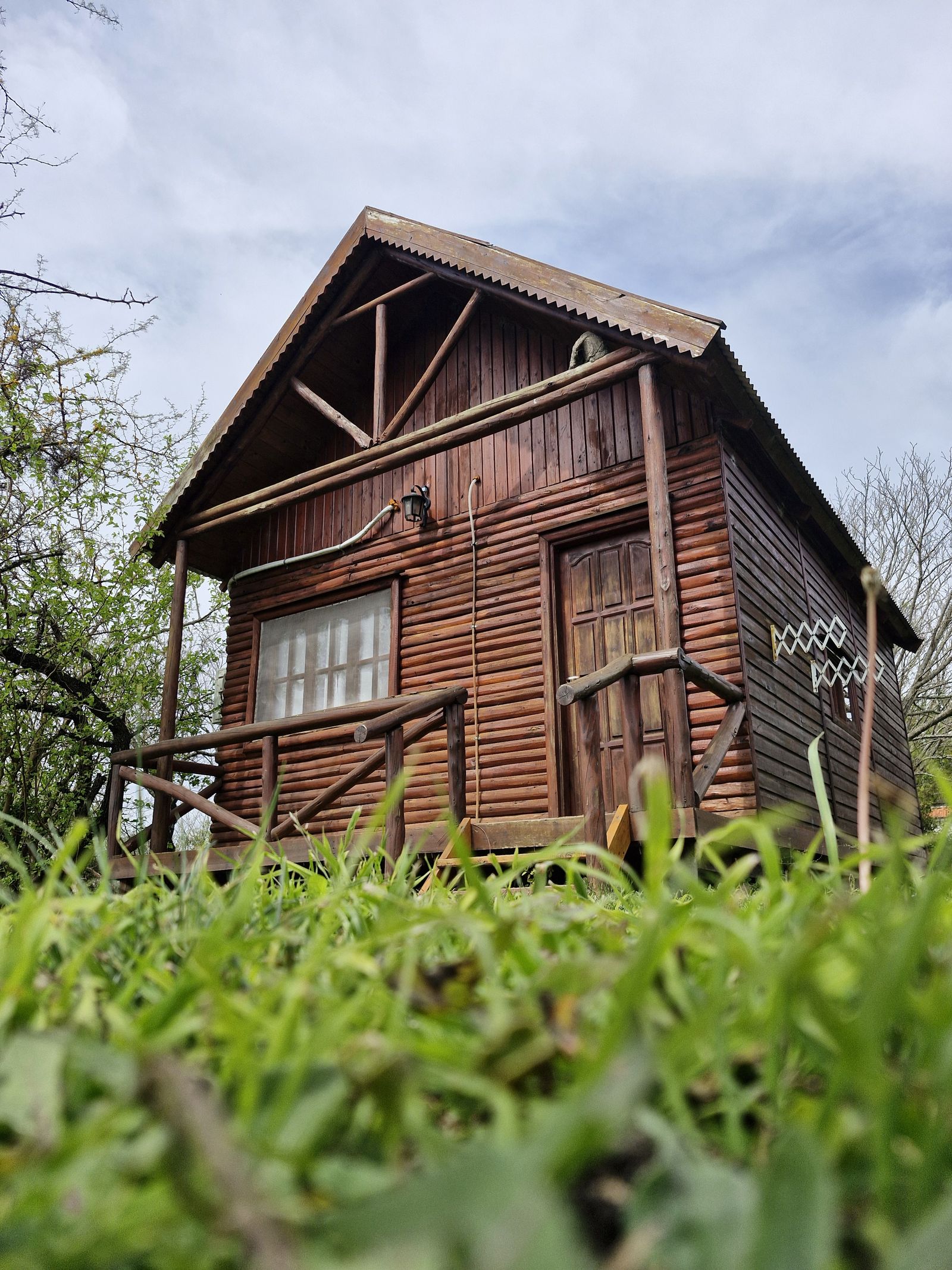 Cabaña de madera vista desde el pasto, a ras del suelo