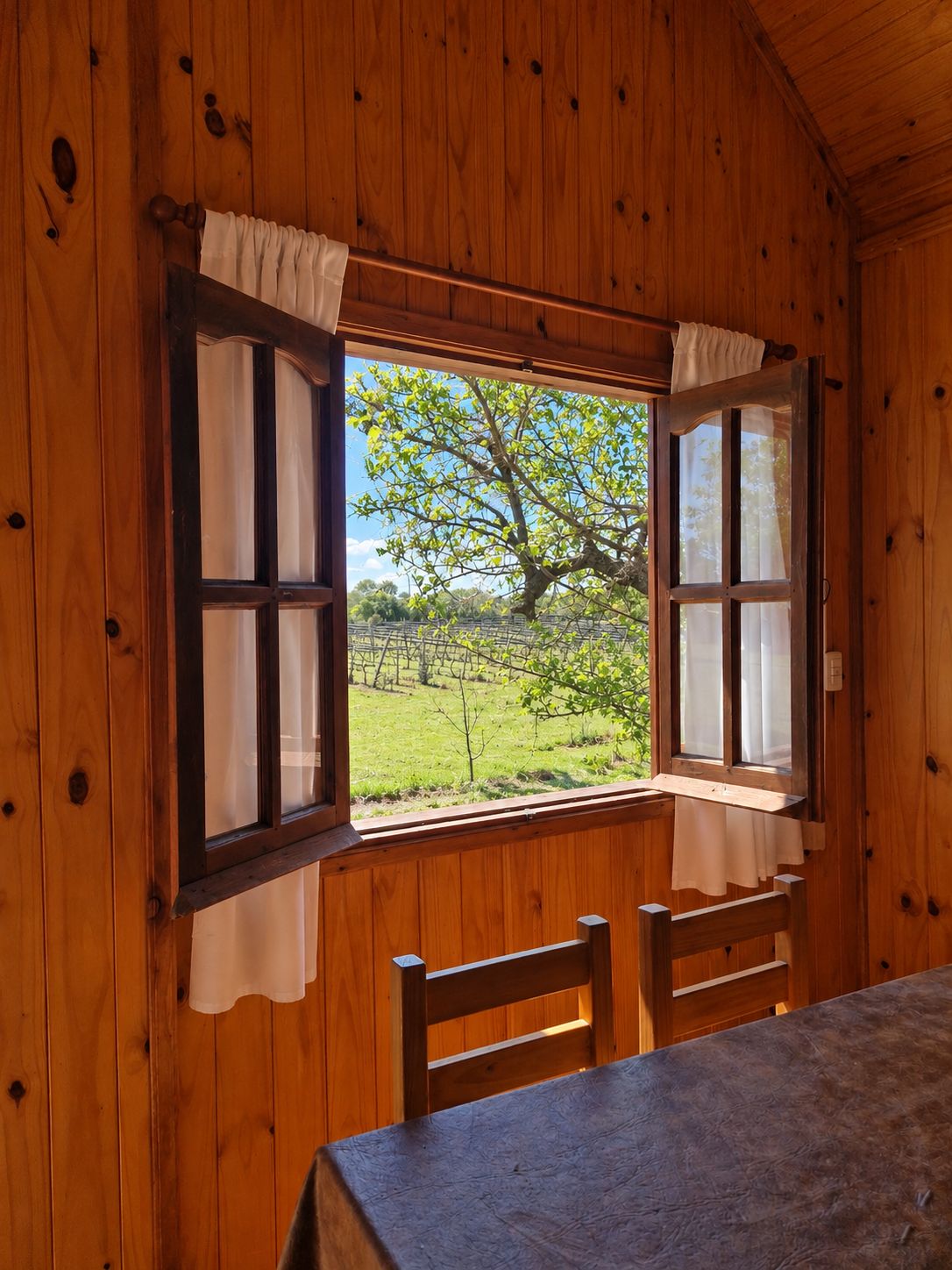 Ventana abierta del comedor de la cabaña, con el viñedo del otro lado