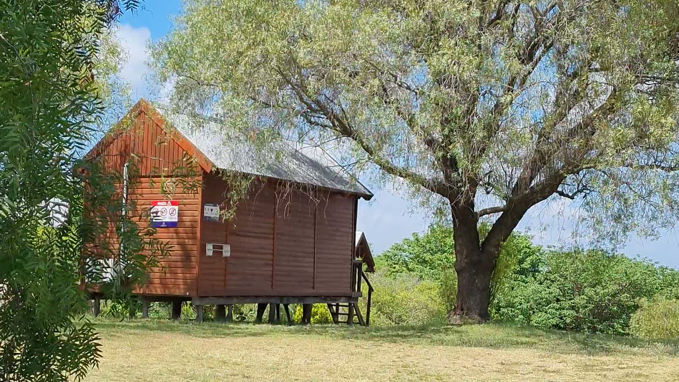 Una cabaña de madera de Finca Las Cuevas junto a un árbol añoso