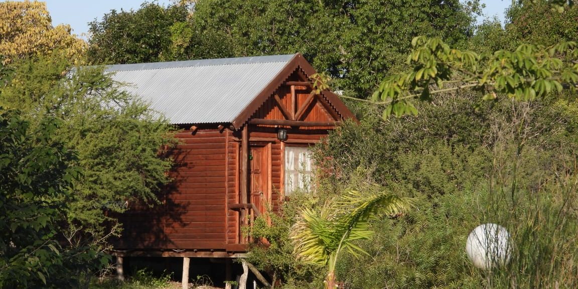 Una cabaña de madera de Finca Las Cuevas entre el monte, con una palmera al frente