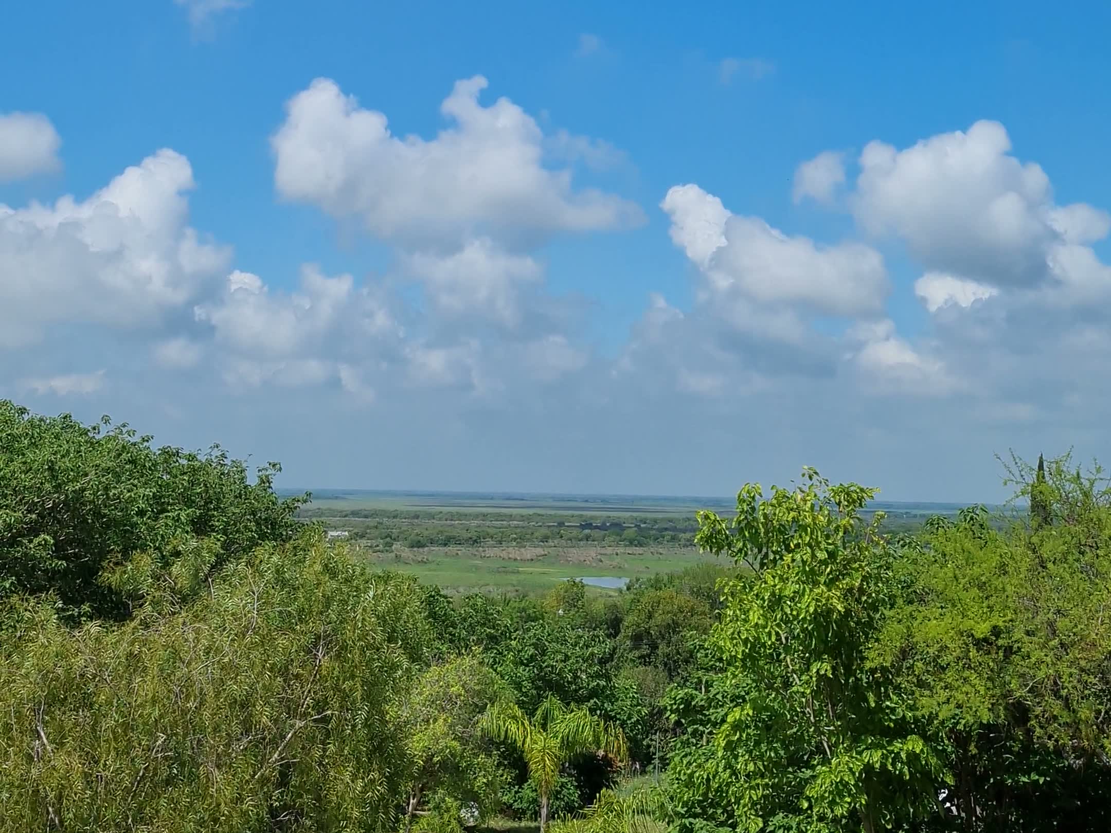 Vista desde la finca hacia el delta del Paraná, con el monte en primer plano