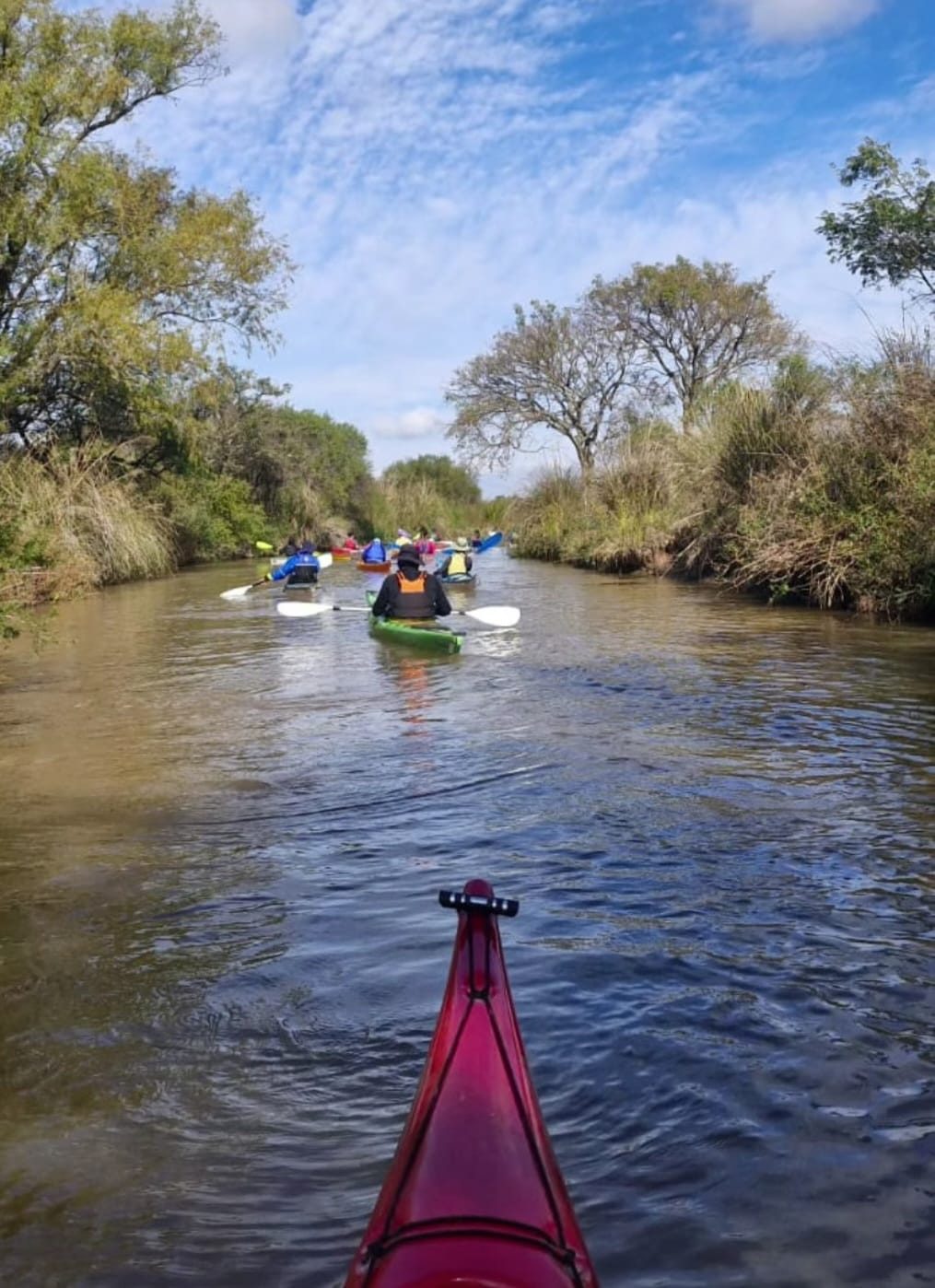 Grupo remando en kayak por un arroyo del delta, visto desde la proa de un kayak