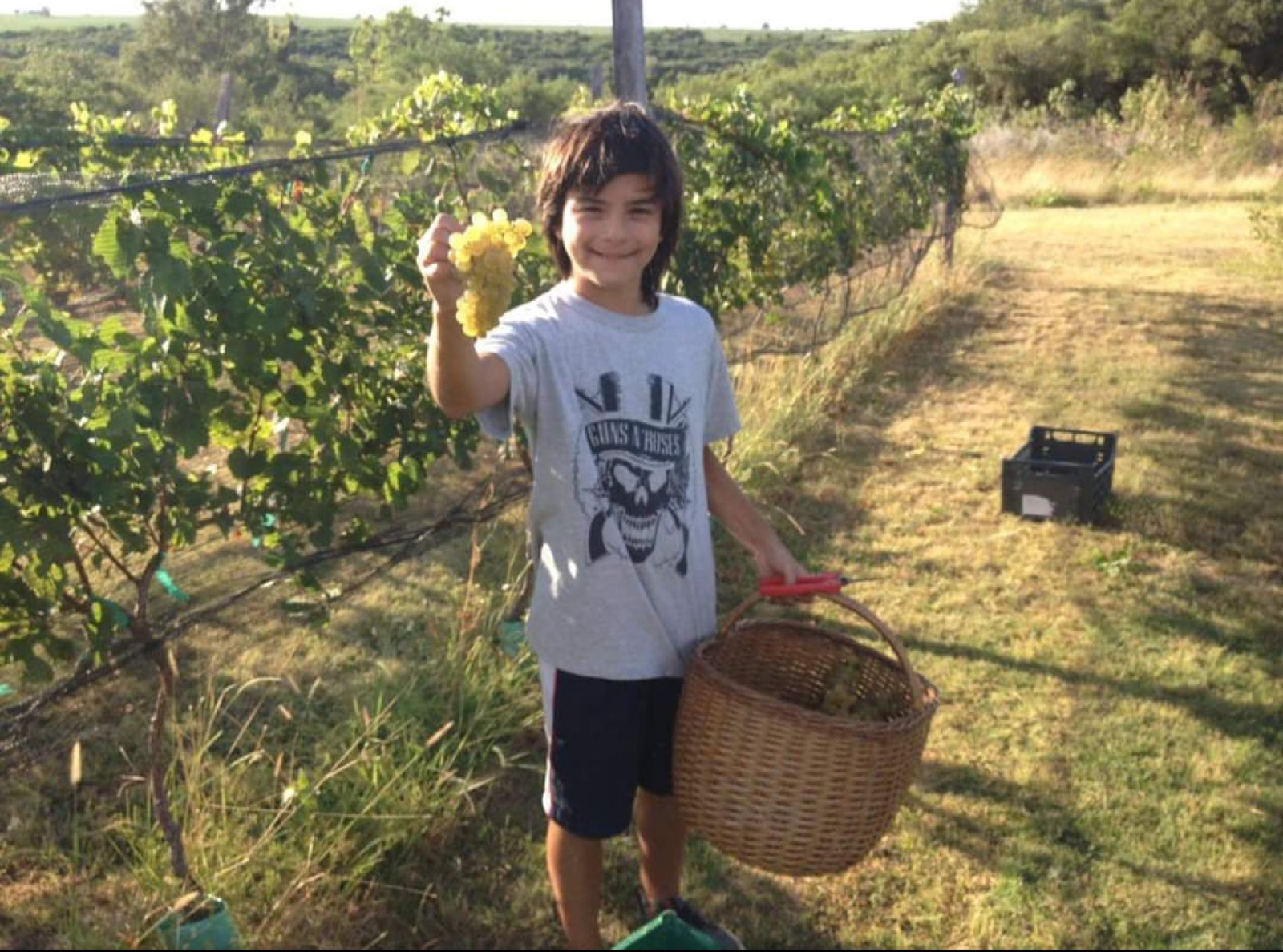 Nene mostrando orgulloso un racimo de uva junto a una canasta llena