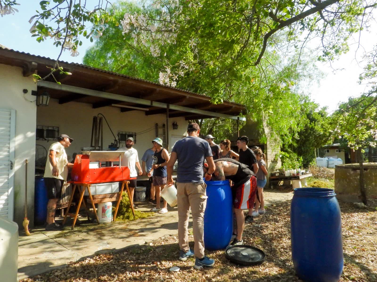 Familia y amigos moliendo uva bajo la galería de la finca